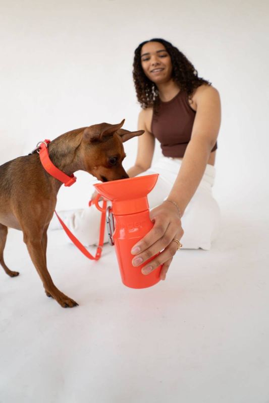 Пляшка-поїлка для собак Springland Помаранчевий 450 мл