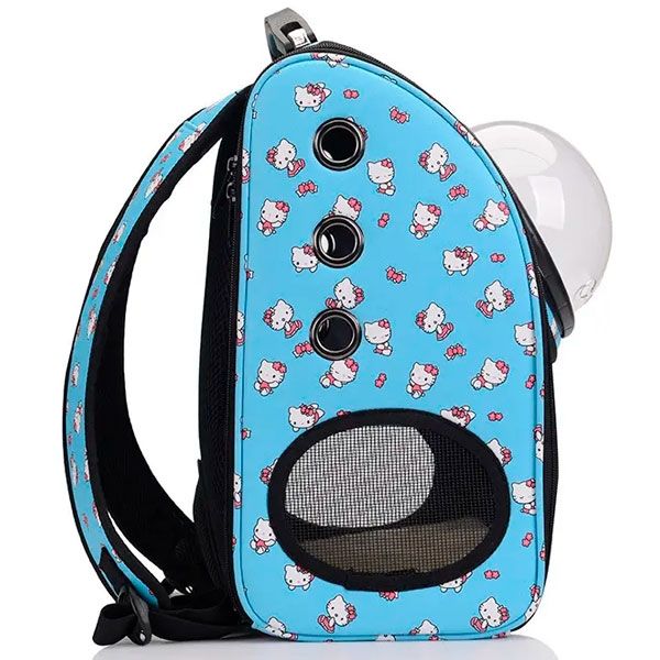 Рюкзак ілюмінатор шкіра 39х33х22 см Кицюня блакитний