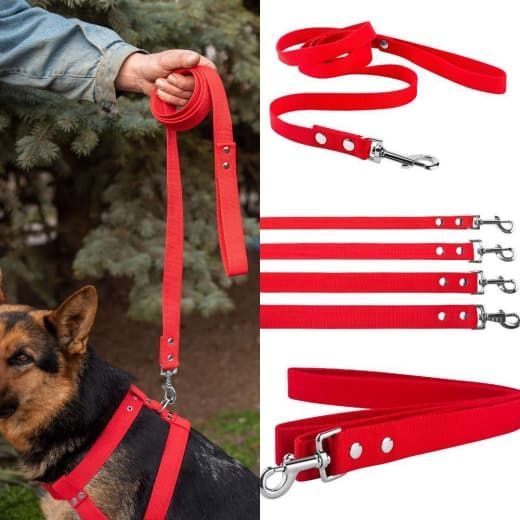 Поводок брезент 35мм Червоний Довжина 2 м