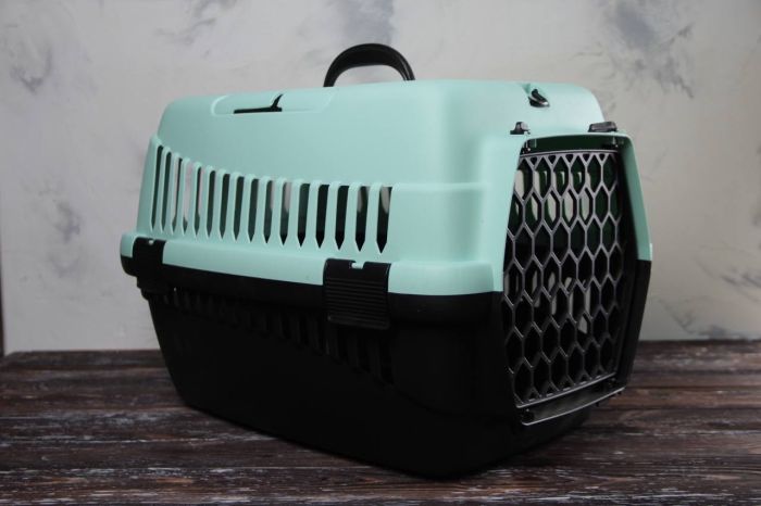 Переноска для тварин мятно-чорна пластик 49х32х35 см до 5 кг