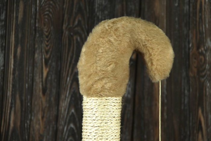 Когтеточка Гном, сизаль зелений