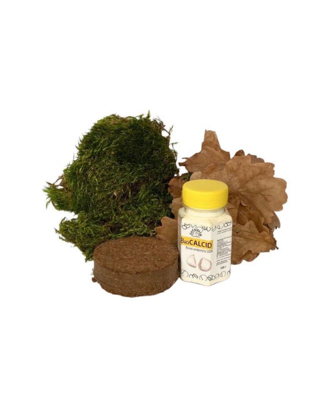 Набір для равликів 