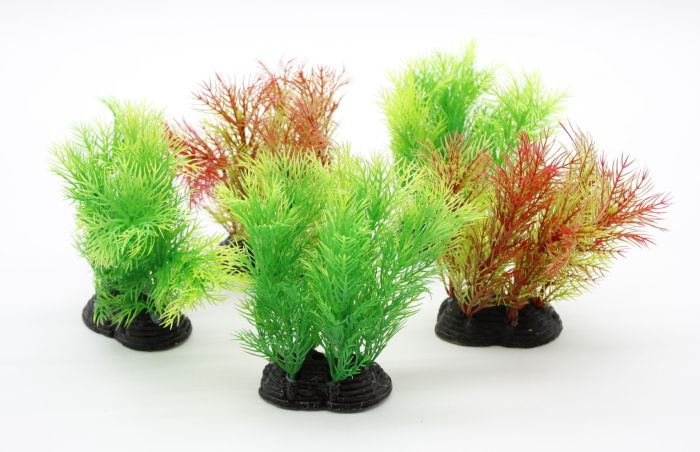 Набір рослин для акваріума, 5шт (6510см)