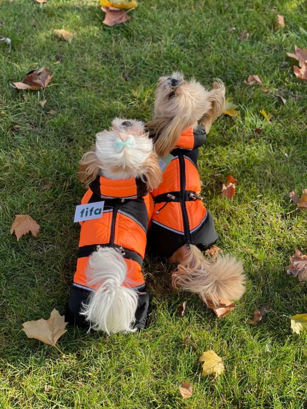 Комбінезон Рікі на силіконі (хлопчик) XXS