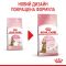АКЦІЯ Royal Canin KITTEN STERILISED для стерилізованих кошенят набір корму 2 кг + 4 паучі 