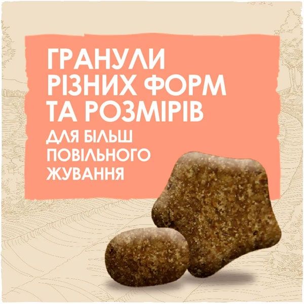Dog Chow Sensitive Adult 1+ сухий корм для собак із чутливим травленням із лососем 2,5 кг