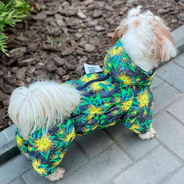 Комбінезон Дейзі силікон (дівчинка) XS