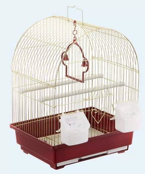 Клітка а417 золото золота клітина