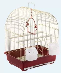 Клітка а417 золото золота клітина