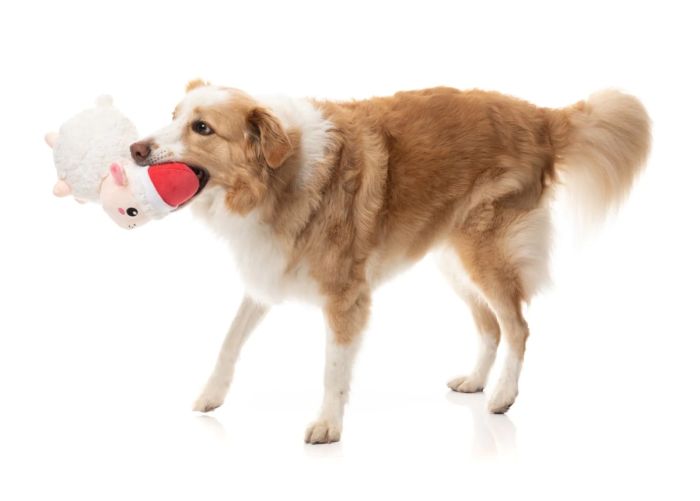 М'яка іграшка для собак FuzzYard Пухнаста овечка