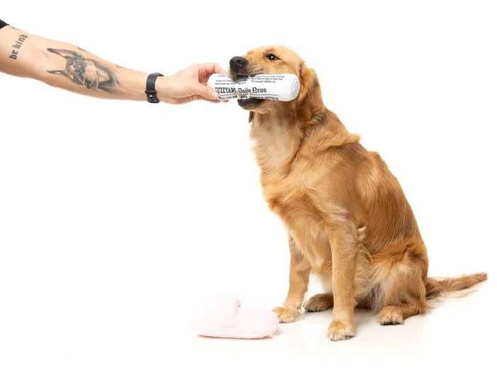 Набір м'яких іграшок для собак FuzzYard Несіть тапки та пресу!