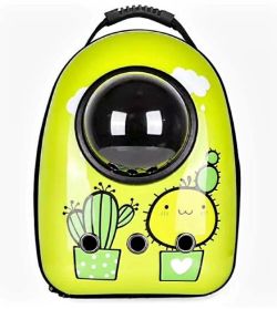 Рюкзак пластик ілюмінатор 32х42х29 см кактус