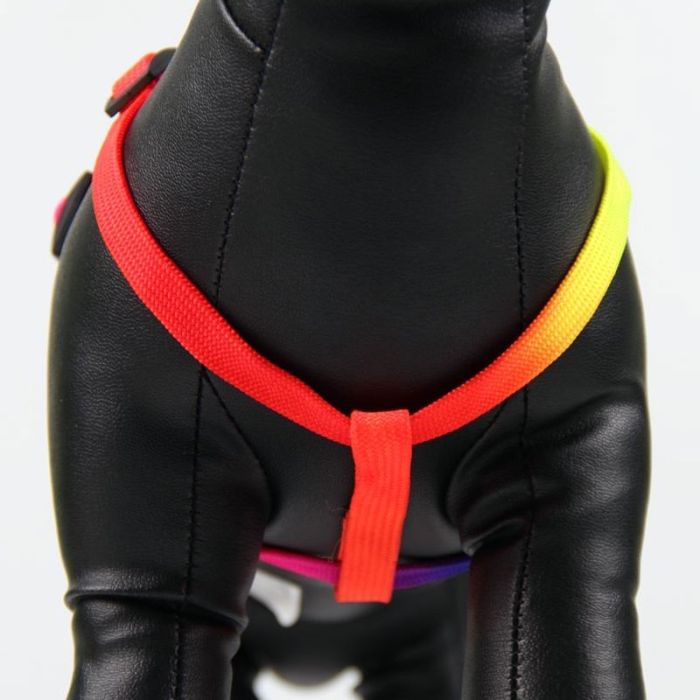 Шлея з повідцем для собак Веселка 