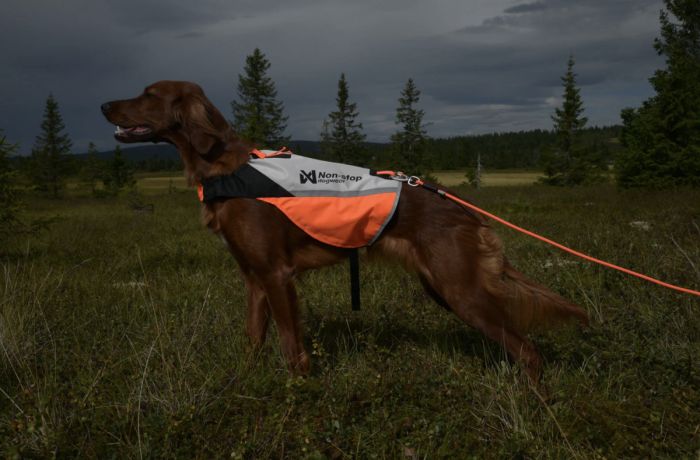 Жилет для собак Non-stop dogwear Protector cover 2.0 Білий/Чорний/Помаранчевий 2XS