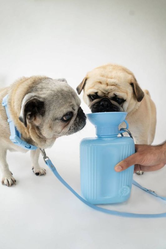 Пляшка-поїлка для собак Springland Блакитний 1,3 л