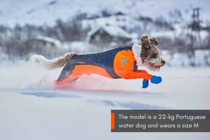 Комбінезон для собак чоловічої статі Protector snow Non-stop dogwear Чорний/Помаранчевий XS