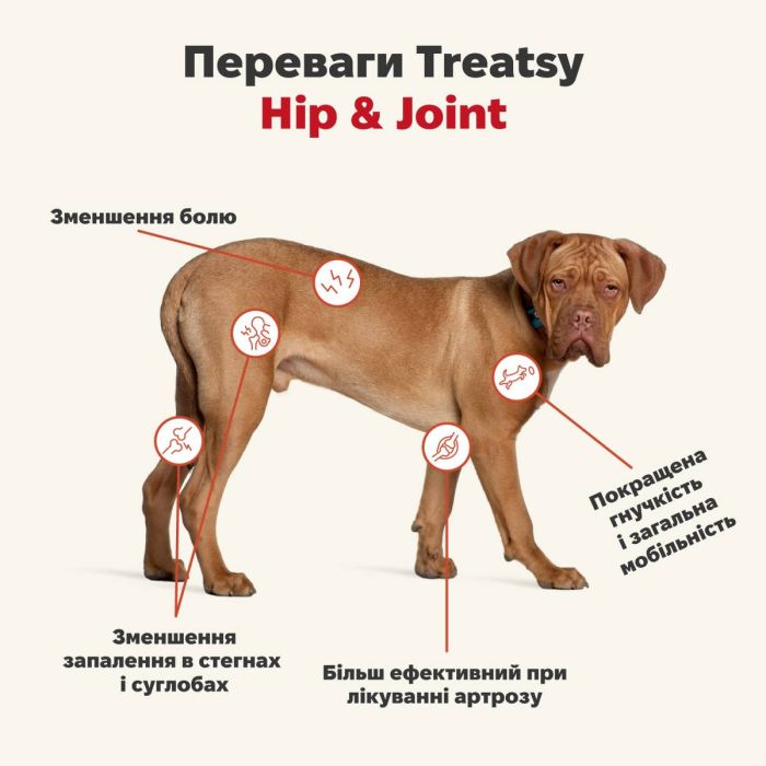 Функціональна олія для м'язів та зв'язок собак і кішок Treatsy Hip & Joint 250 мл