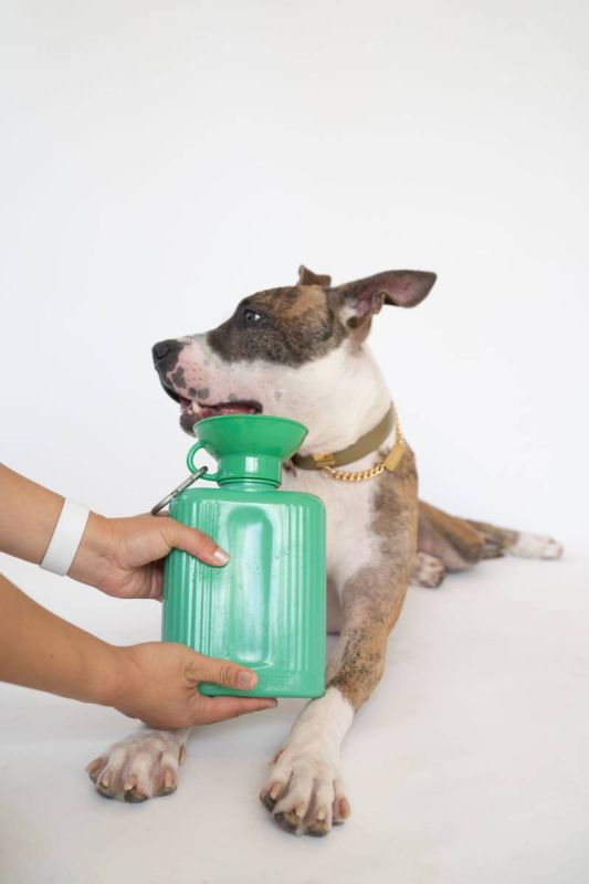 Пляшка-поїлка для собак Springland Зелений 1,3 л