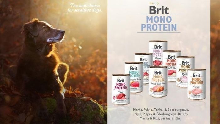 Brit Dog Monoprotein короп та картопляний салат вологий корм для собак 400 г 