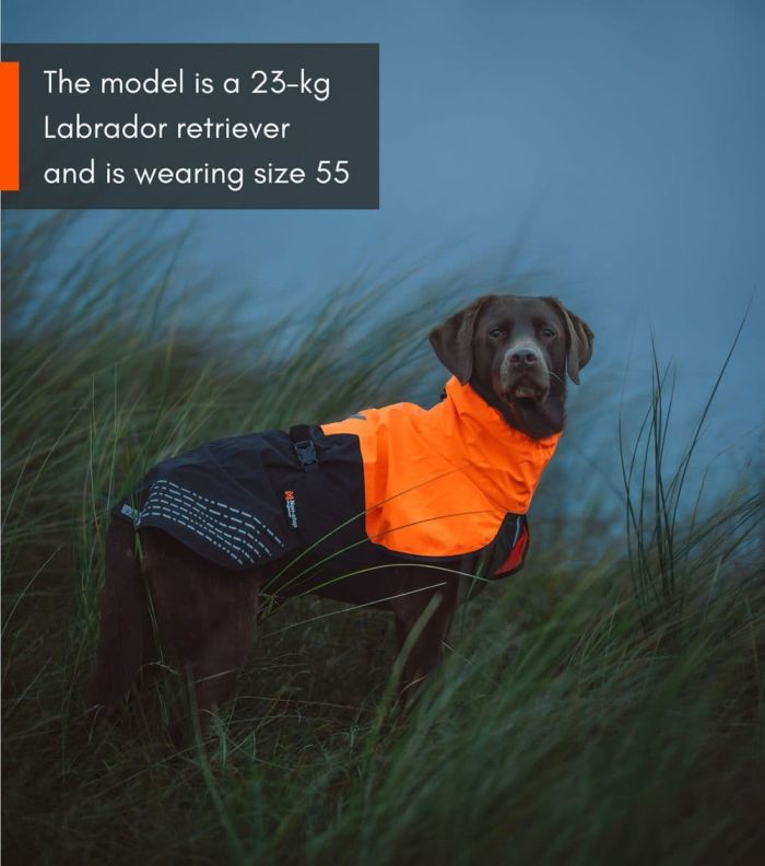 Дощовик для собак Fjord raincoat Non-stop dogwear Чорний/Помаранчевий 80