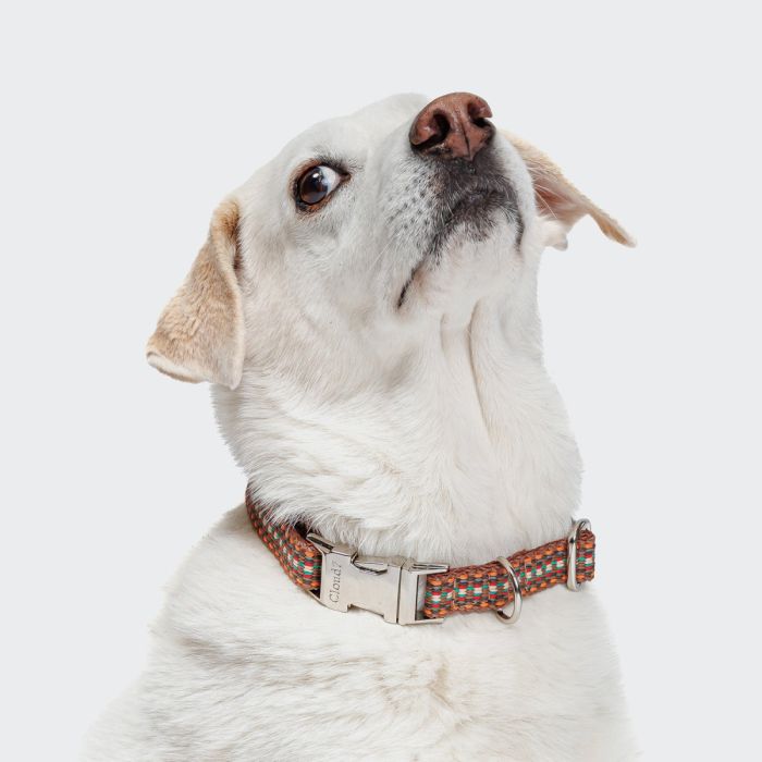 Нашийник для собак Cloud7 Prater Коричневий L