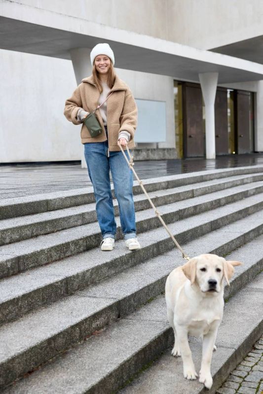 Сумка для ласощів і аксесуарів собак Palopa Karl M Оливковий