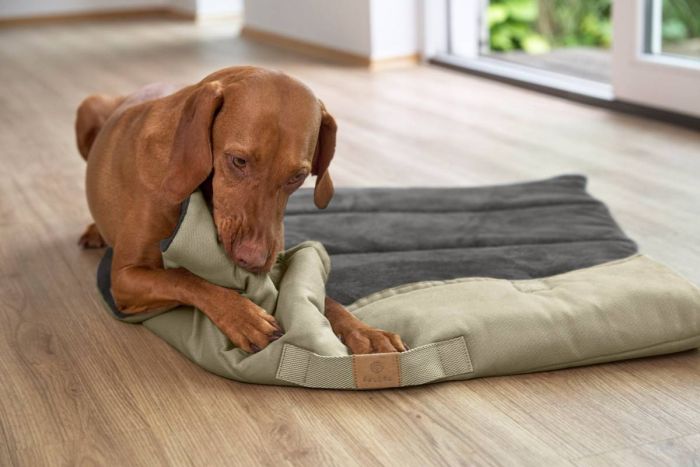 Складаний килим для собак Palopa Alma Хакі M-L