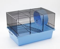 Клітка Лорі Джунгарик 