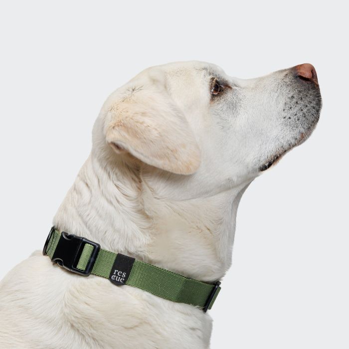 Повсякденний нашийник для собак Cloud7 Rescue Basic Зелений XL