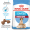 Royal Canin (Роял Канін) Medium Starter 1 кг