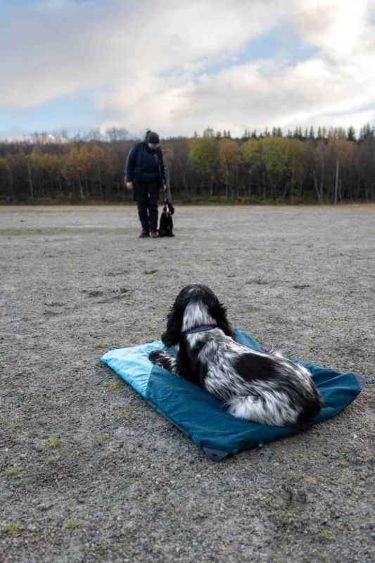 Складаний килимок для собак Trekking dog bed Non-stop dogwear Темно-бірюзовий M
