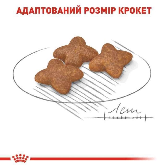 АКЦІЯ Royal Canin Mini Adult сухий корм для собак дрібних порід старше 10 місяців 7+1 кг 