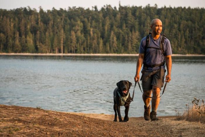 Повсякденна шлейка для собак Ruffwear Front Range® M 69-81 см Зелений