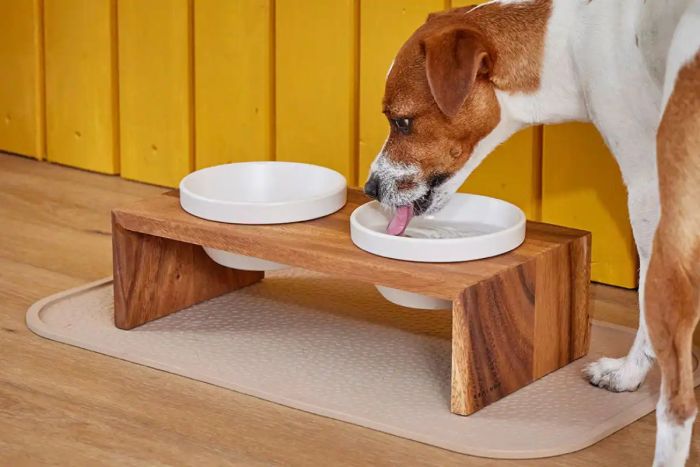 Миски на підставці Wolters Foodstation Gohan 2 x 0,2 л XS Коричневий