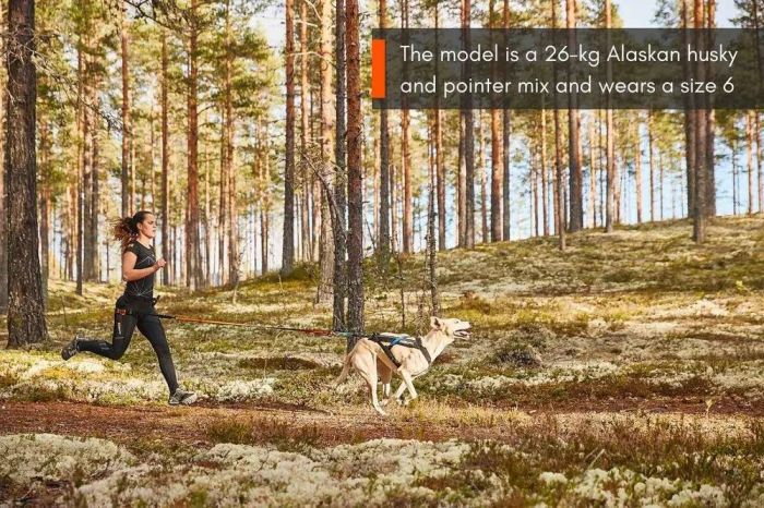 Шлейка для собак Freemotion harness Non-stop dogwear Чорний 9