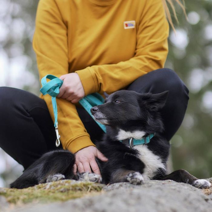 Рефлекторний повідець для собак Hurtta Casual ECO 120 см х 20 мм Бірюзовий