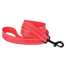 Повідець для собак BronzeDog 10мм-152см кораловий 1224 59т 
