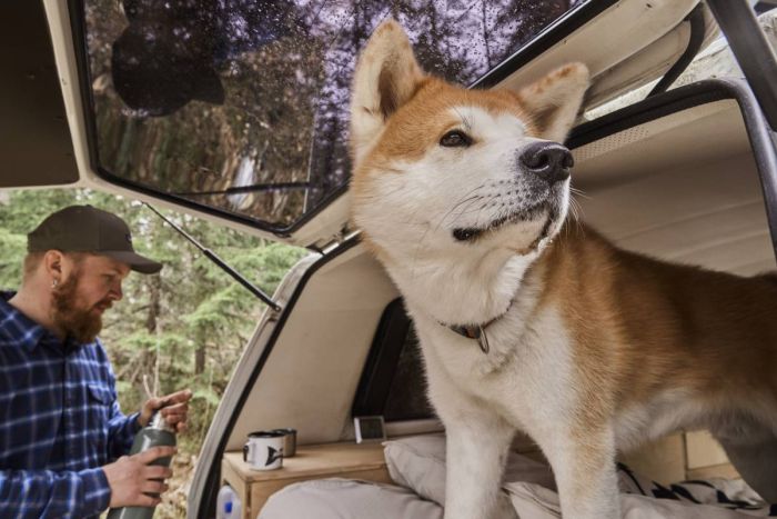 Нашийник для собак Hurtta Casual ECO 25-35 Коричневий