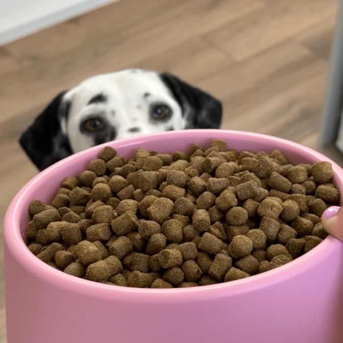 Миска зі 100% переробленого пластику для собак Beco Pets Steady Bowls Рожевий S