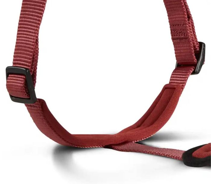 Шлейка для собак пом'якшена Wolters Professional Comfort 6 80-95 см / 35 мм Бордовий