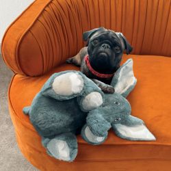 Іграшка для собак Kong Comfort Kiddos Elephant XS