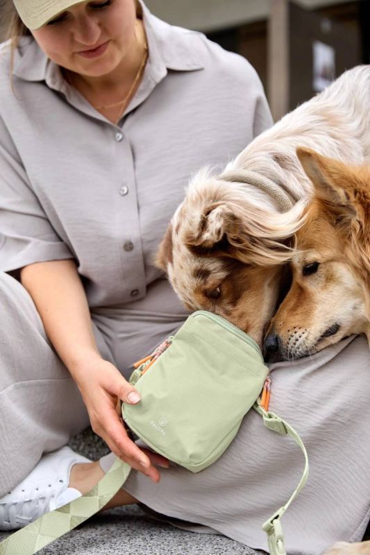 Сумка для ласощів і аксесуарів собак Palopa Greta L Зелений