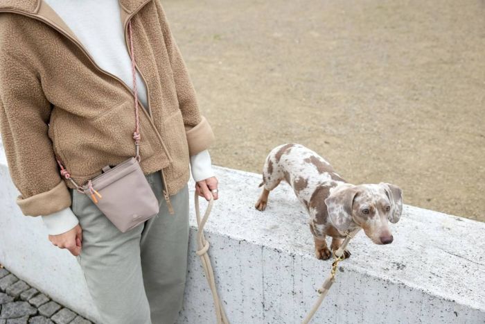 Сумка для ласощів і аксесуарів собак Palopa Karl M Сіро-коричневий
