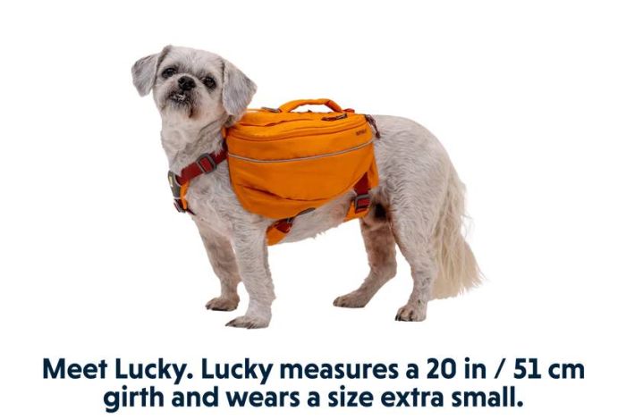 Шлейка-рюкзак для собак Ruffwear Approach™ XS Помаранчевий
