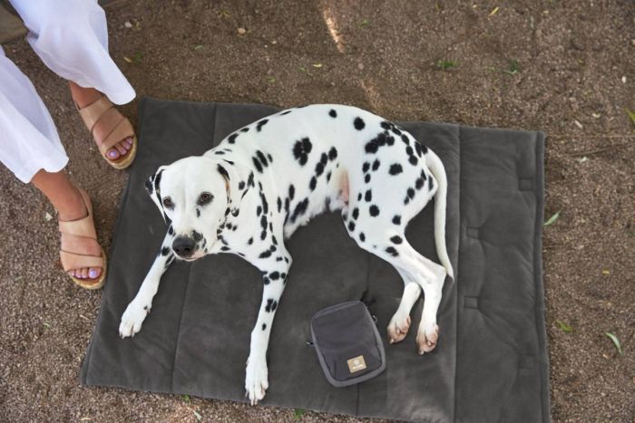 Складаний килим для собак Palopa Alma Сірий M-L