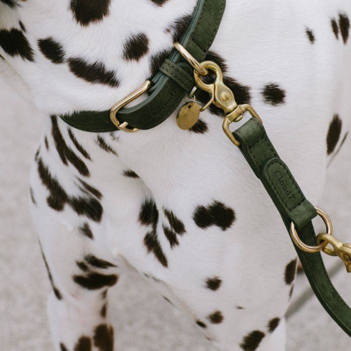 Повідець для собак Cloud7 Tiergarten L Moss Зелений L