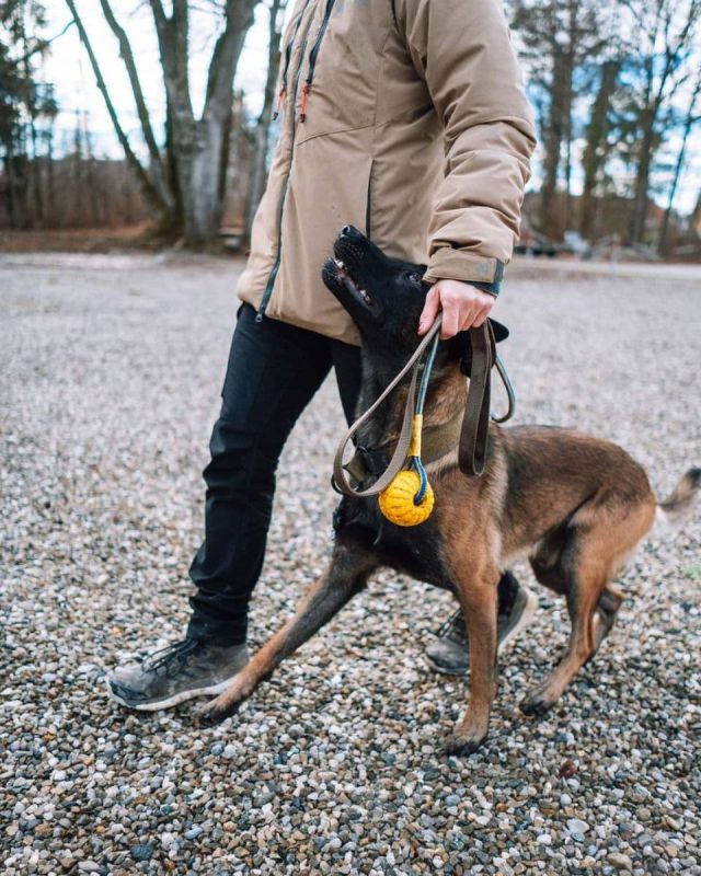 Повідець для собак Solid leash WD Non-stop dogwear Оливковий 2 м