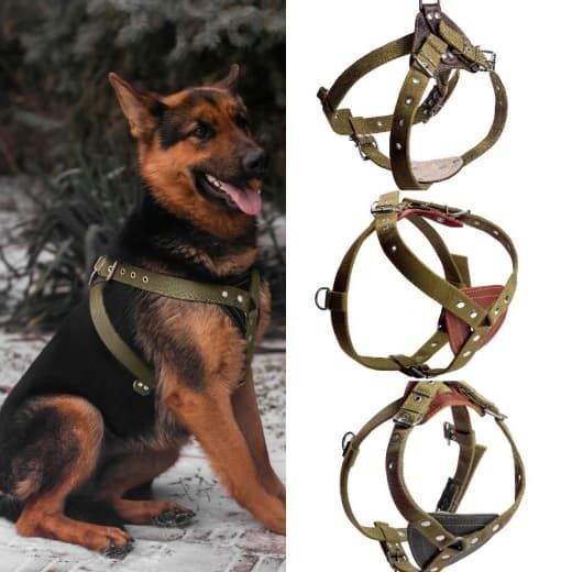 Шлея серце подвійна 20 мм