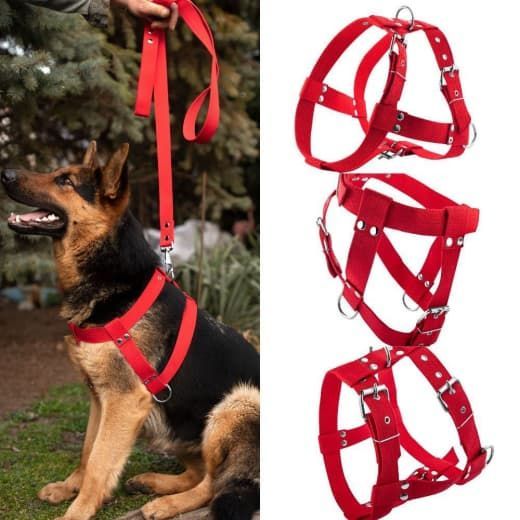 Шлея економ Одинарна Червона 20 мм