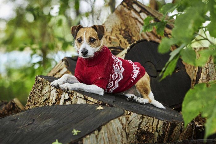 Светр в'язаний для собаки Wolters Norwegian 50 см Червоний
